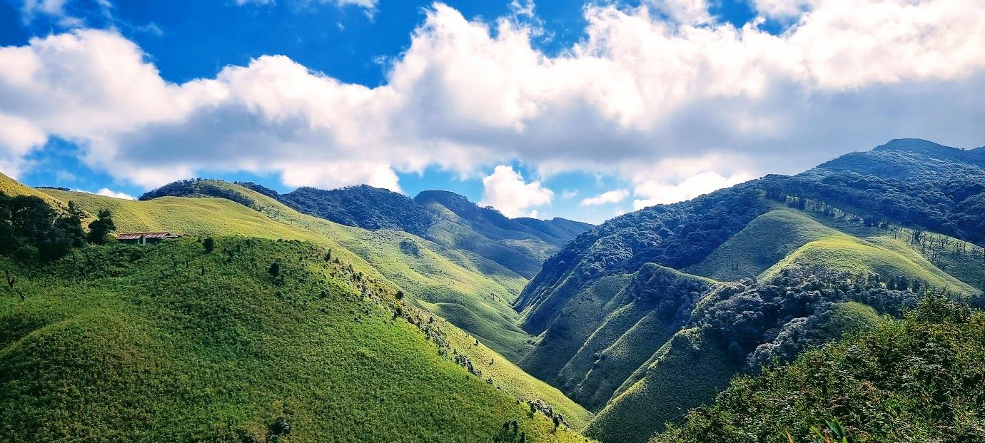 Dzuko valley, Nagaland